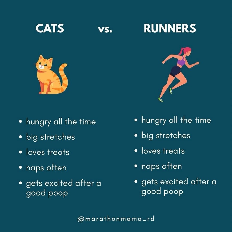 20260713 - Cats vs. Runners