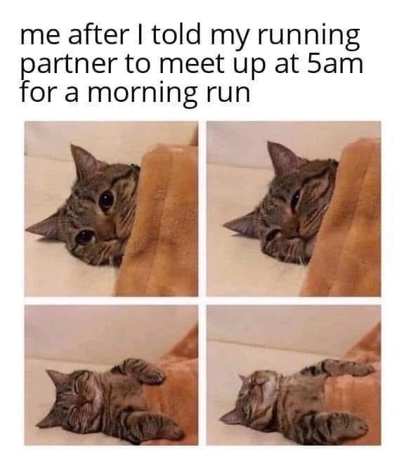 20260824 - Cat at 5AM
